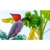 Biona Økologisk Banana Blossom