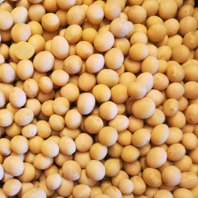 Økologiske Sojabønner Til Natto 1kg