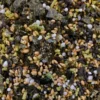 Nihon Kaisui Wasabi Furikake 50g