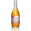 The CHOYA Non Alcohol Umeshu 700ml